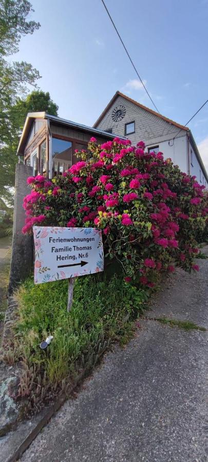 Ferienwohnungen Hering Kleingiesshubel Eksteriør bilde